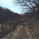 삼산면-8 이미지