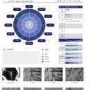 서일빌딩 | 분당두피 고민, 웰킨두피탈모센터 야탑점 딥톡스 클린스파 후기