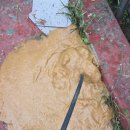 차룡단지로 이미지