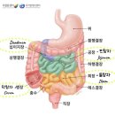 초음파 스터디윗미 8일차🥑