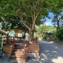 군자사(君子寺) 이야기①