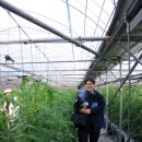 이종원 농장 이미지