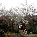 옛날그집 이미지