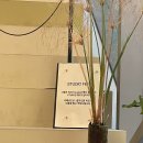 [서울시 성북구] 페페 이즈 굿, 내돈내산 후기