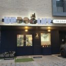 업 독 라이프 이미지