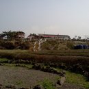 제주다원