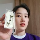 세희네집