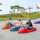 대룡상회 이미지