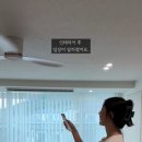 조선육회 이미지