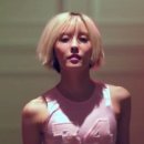 나이스바디