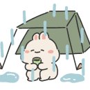 함평군 돌머리캠핑장 이미지
