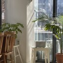 ONEMORE(원모어) 이미지