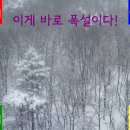 네일세상 이미지