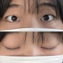 왕십리 한양대 속눈썹펌 더슈뷰티, 뷰러펌 + 블랙틴팅 후기