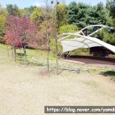 초록산등산로 이미지