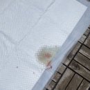 서사라동물병원 이미지