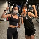 Gym Tipi 이미지