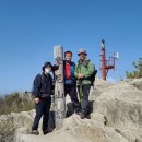 서산연합외과의원 Daum카페