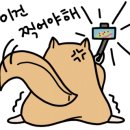 신세계동물병원 이미지