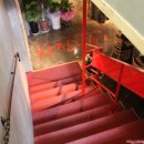 한잔비어 이미지