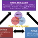 코어짐 피트니스 이미지