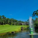 블루헤런G.C 이미지