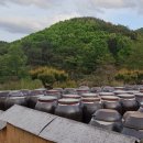 경주한옥펜션 하늘터밭 | 경주 한옥펜션 하늘터밭 안심정 내돈내산 경북 가성비 촌캉스 숙소 추천