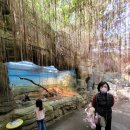 도연가든 이미지