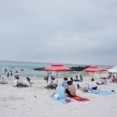 김녕해수욕장 이미지