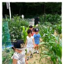 정후농장 이미지