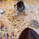 🍂탱글탱글 도토리묵 놀이🍂 이미지