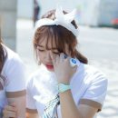 세정