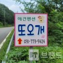 또오개