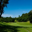 보보스(BOBOS) 이미지