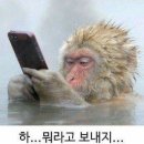 인성 - 광산구 평동로 1009 | 인성