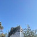 월등도캠핑장 이미지