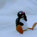 스시슌 | 삿포로 오타루 초밥맛집 | 스시도코로슌 워크인 후기