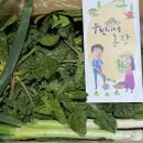 두대농장 이미지