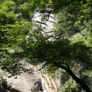 미산양식장 네이버블로그