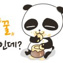 현대치과기공소 이미지