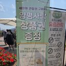 경기도 양평 세미원 나들이 후기 | 연꽃과 수련이 아름다운 힐링 여행