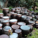 펜션곶감가든 이미지