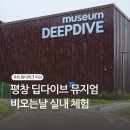 평창 딥 다이브 뮤지엄 비 오는 날 실내 체험(과천 원더 파크 비교)
