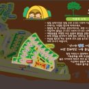 홍천강 자라바위 오토캠핑장 이미지