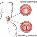 성대목욕탕 이미지