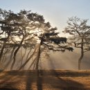 뉴코리아 이미지