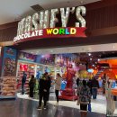 엠엔엔(주) | 미국 서부 여행 / 라스베가스 네바다주 / 뉴욕뉴욕 호텔 허쉬 엠엔엠 월드 가볼만한곳 추천