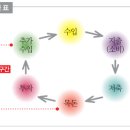 뉴포트컨설팅 네이버블로그