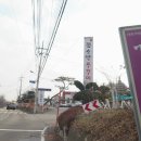 반지초등학교병설유치원 이미지