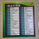 여의도꽃집-꽃로렌:시그니처 꽃다발M후기(24시간 꽃다발 구매가능)